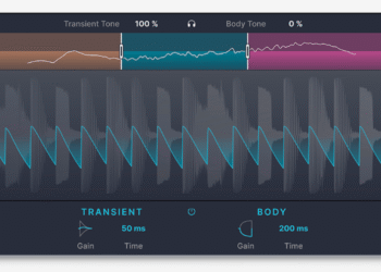 Arturia Bus TRANSIENT